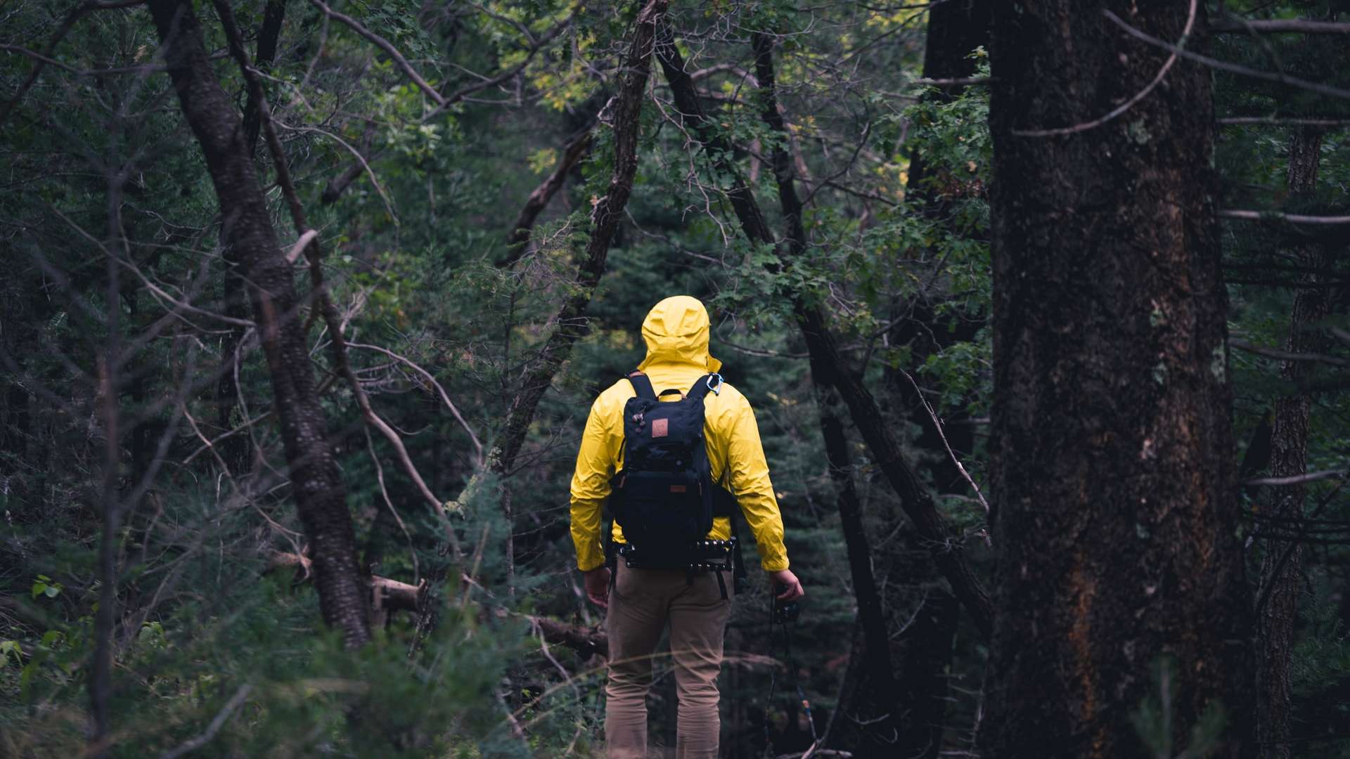 Our Experts that plan your trips